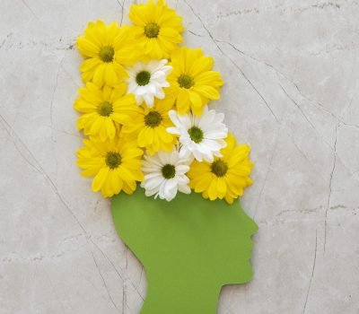 top-view-assortment-optimism-concept-with-flowers